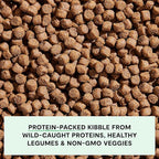 Open Farm, Grain-Free Dry Dog Food, Complete & Balanced Kibble, Sustainably & Ethically Sourced Ingredients, Non-GMO Veggies & Superfoods, Catch-of-The-Season Whitefish Recipe, 22lb Bag