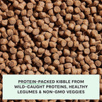 Open Farm, Grain-Free Dry Dog Food, Complete & Balanced Kibble, Sustainably & Ethically Sourced Ingredients, Non-GMO Veggies & Superfoods to Support Overall Health, Wild-Caught Salmon Recipe, 11lb Bag